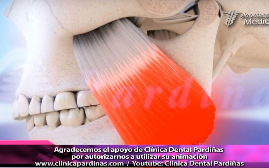 Nuestros Videos 3D Traspasan Fronteras